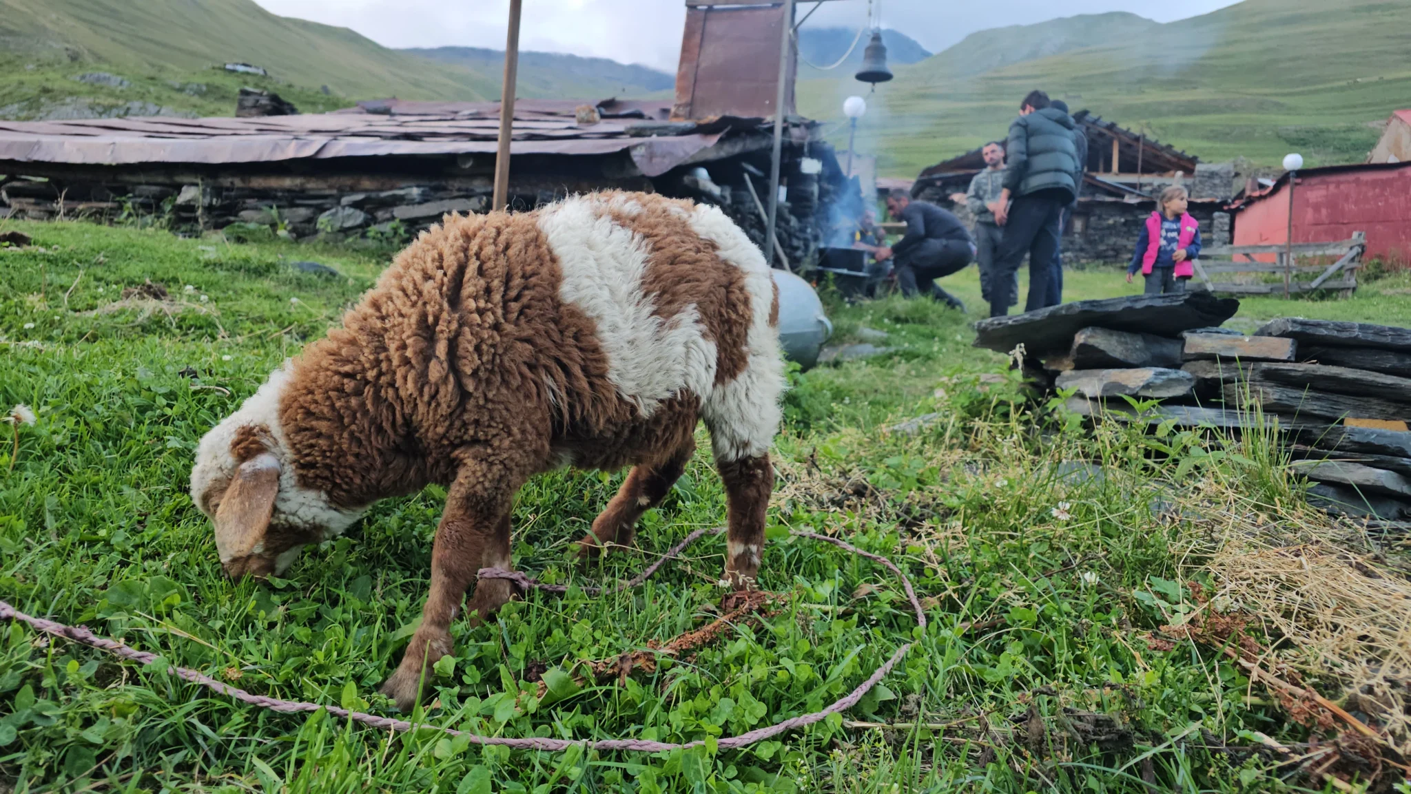 Tusheti-Gallery_16