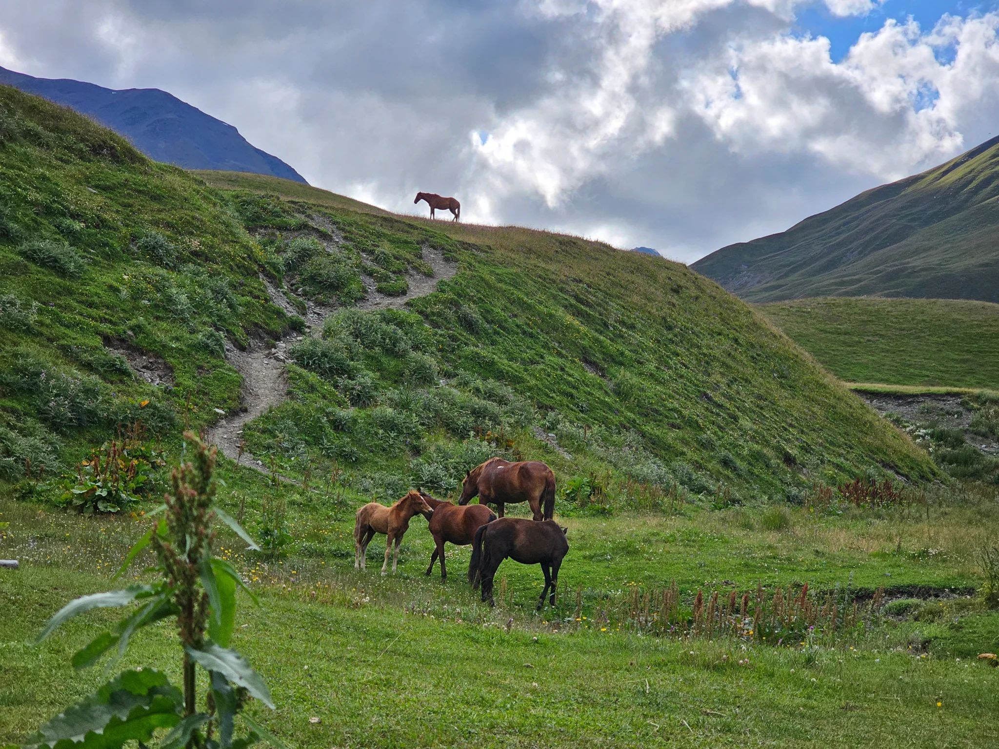 Tusheti-Gallery_26
