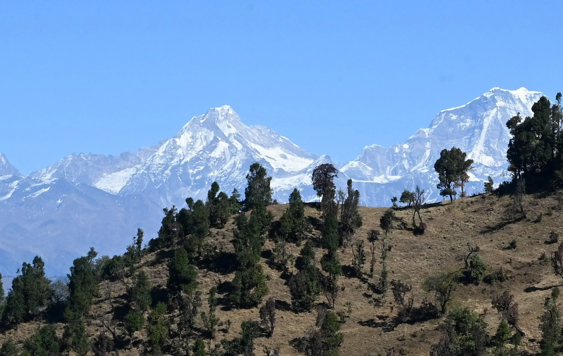 A scenic landscape featuring a range of snow-capped mountains under a clear blue sky, with a hilly foreground covered in scattered trees and dry grass.