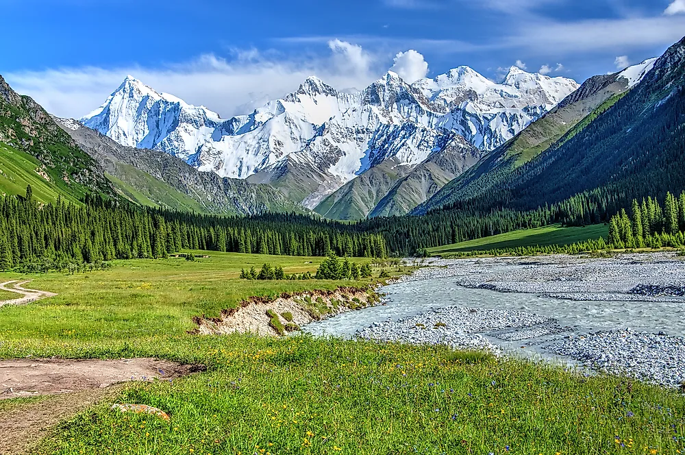 A scenic landscape featuring a lush green valley with a winding river, surrounded by dense pine forests and vibrant wildflowers. In the background, a range of snow-capped mountains rises sharply under a clear blue sky with scattered clouds. A dirt path cuts through the meadow, adding to the natural beauty of the scene.