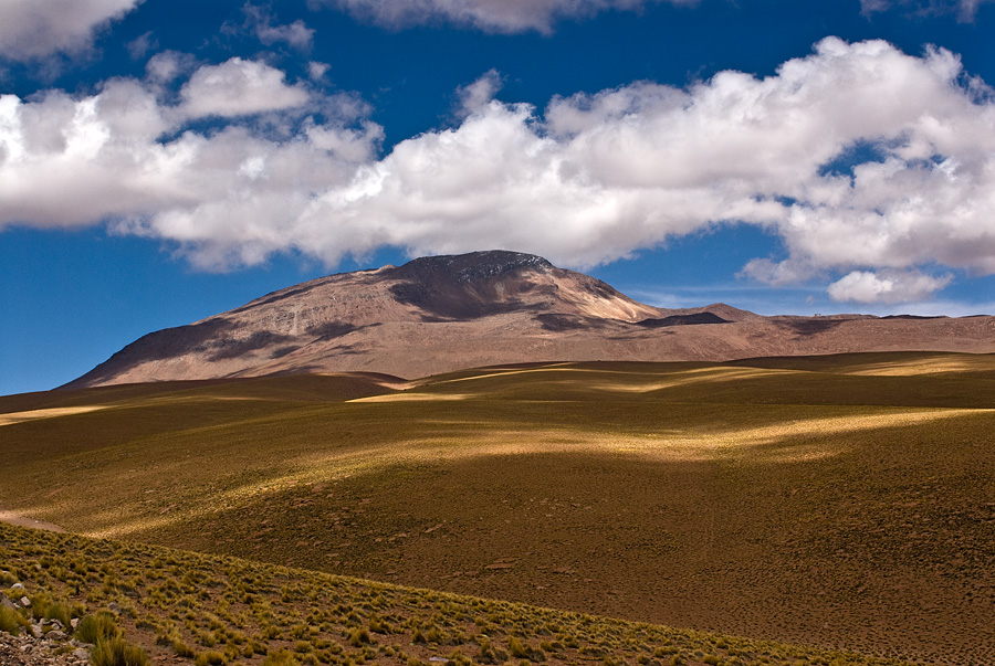 A striking volcanic peak with a dark, snow-capped summit rises dramatically against a vivid blue sky filled with scattered, fluffy white clouds. In the foreground, expansive rolling hills covered in golden-brown high-altitude grass stretch toward the mountain, bathed in strong sunlight that casts long shadows across the arid landscape. The scene conveys the vast, remote beauty of the Andean altiplano.